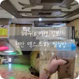 천안 찜질방 맥스스파 겨울에 몸 녹이기 너무 좋아