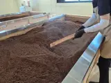 인천 효소찜질 테르엔 부평1호점 위치 주차 내부 후기 영종도...