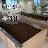 테르엔 부평 1호점 | 몸이 개운했던 효소찜질 내돈내산 후기