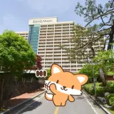 단양군 소노벨단양 오션플레이 워터파크 정보