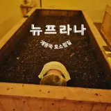강릉에스테틱 개똥쑥 옥천동효소찜 뉴프라나 방문후기