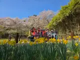 녹산주민문화회관 하모니카 교실 이야기  #녹산동 #프로그램소개