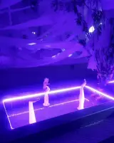 [젤리탕] 선악과즙 Holyshxt 팝업스토어