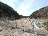 포항시 북구 장성동 토지 매매