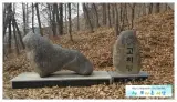 백두대간14회차(도래기재~고치령)
