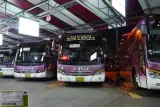 <100대명산,백두대간>문경 황장산 산행기...경북 문경시...