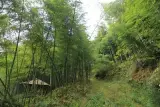 경남 체험학습 사천 비봉내마을-경남개발공사...
