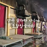 [리뷰] 양주 숯가마 찜질방 토담참숯가마 실내 데이트 후기