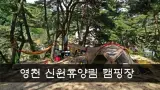 [캠핑] 경북 영천 신원휴양림 캠핑장 후기 (2016. 07. 23~24)
