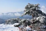 백두대간 [2차01] 늘재-청화산-조항산-대야산-버리미기재