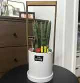 [광주 진월동 꽃집] 24시 꽃플라워오브유 진월점 방문 후기!...