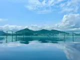( Pool & Sauna 풀 앤 사우나 후기 / 수영장 50% 할인...