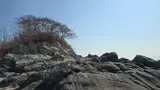 자월도 국사봉