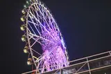 울산 호텔 울산 숙소 먹거리 ft. 울산 관람차/울산 물놀이/야경...