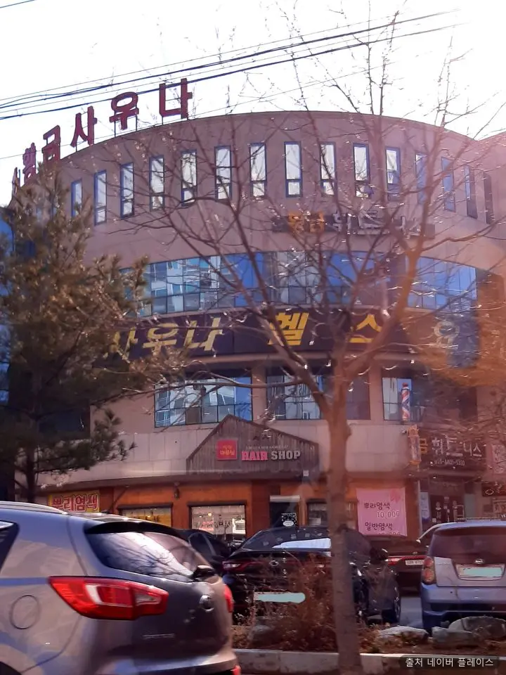황금스파 1
