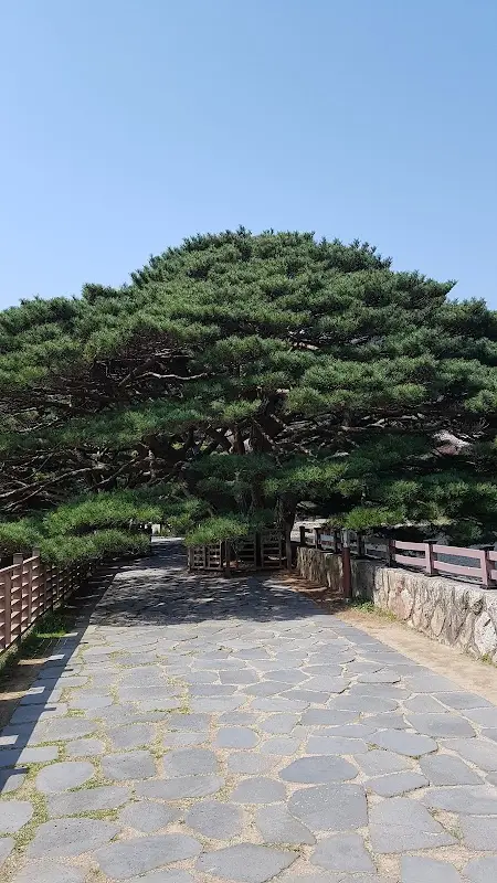 양산 수 사우나 1
