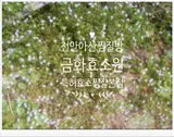 천안아산찜질방 금화효소원본점 효소찜질로 피부고민해결했어요