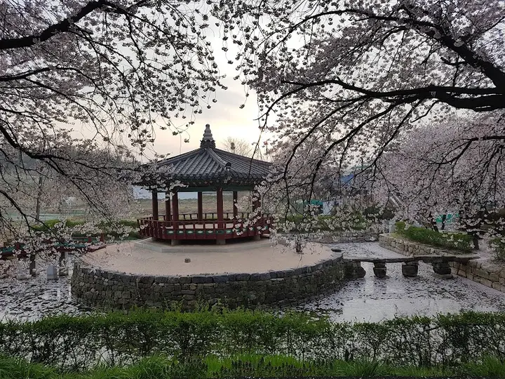 면천활력바라지목욕탕 1