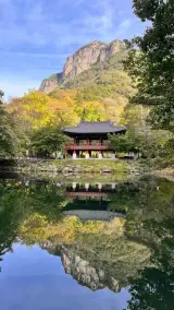 [장성 > 정읍 : Day 4] 내장산 (백암산), 백양사 > 서울