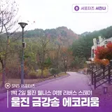 1박 2일 울진 웰니스 여행 리버스 스테이, 울진 금강송 에코리움