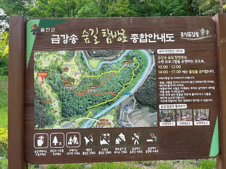 금강송에코리움(목욕탕) 1