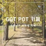 2025.11.07 전남 나주시 남평읍 은행나무 수목원 카페 GGT POT