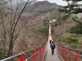 [산길여행] 5년 만에 다시 찾은 경기 파주 감악산 출렁다리와...