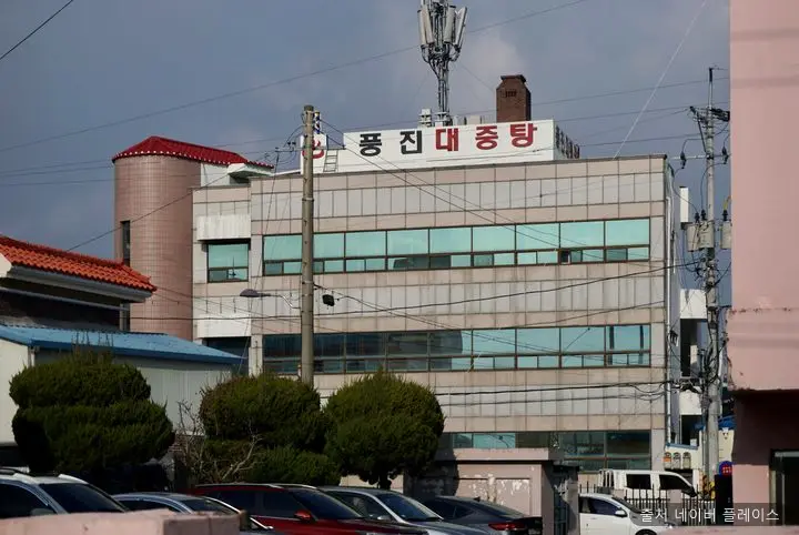 풍진 1