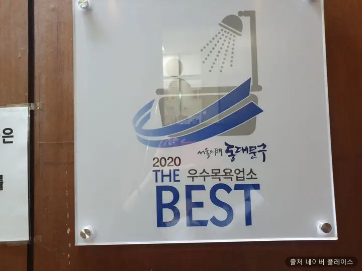 목련 1