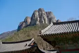 [청송군] 봄 온천여행, 청송 솔샘온천으로 (26.3.6)