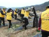[홍천군] 서석면 수하1리와 대한주택보증 1사1촌 교류행사