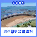 [수산물축제] 수산물 축제 정보 전남 무안군 :: 무안황토갯벌축제
