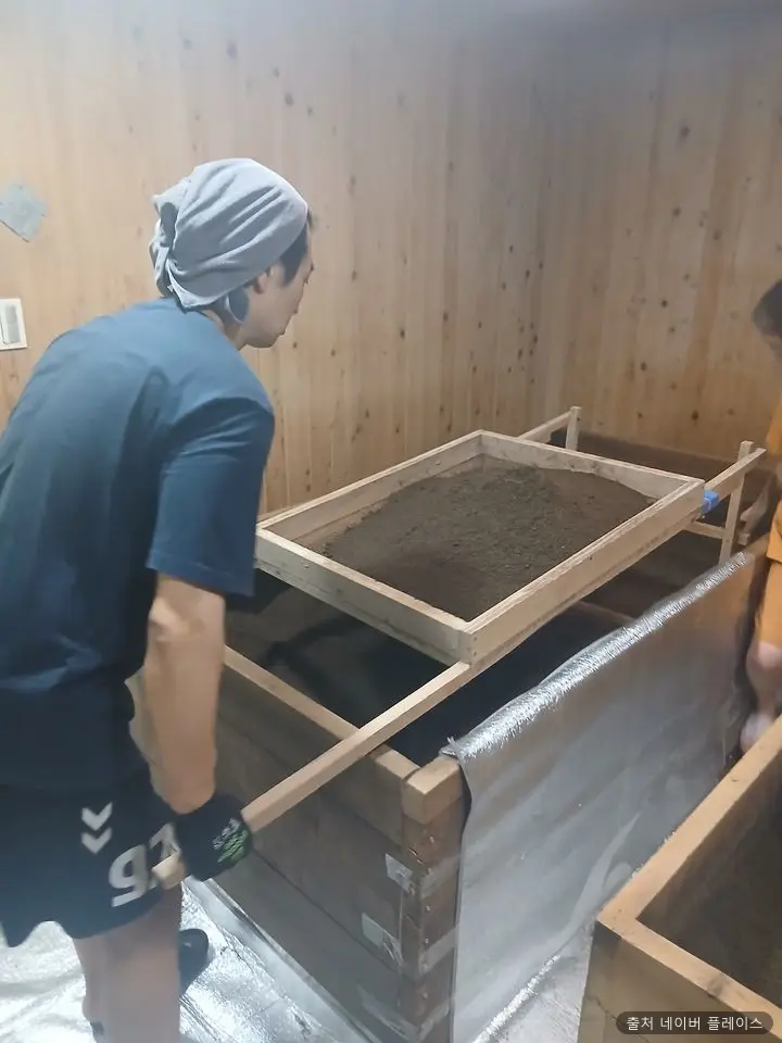 자하생식 효소찜질 1